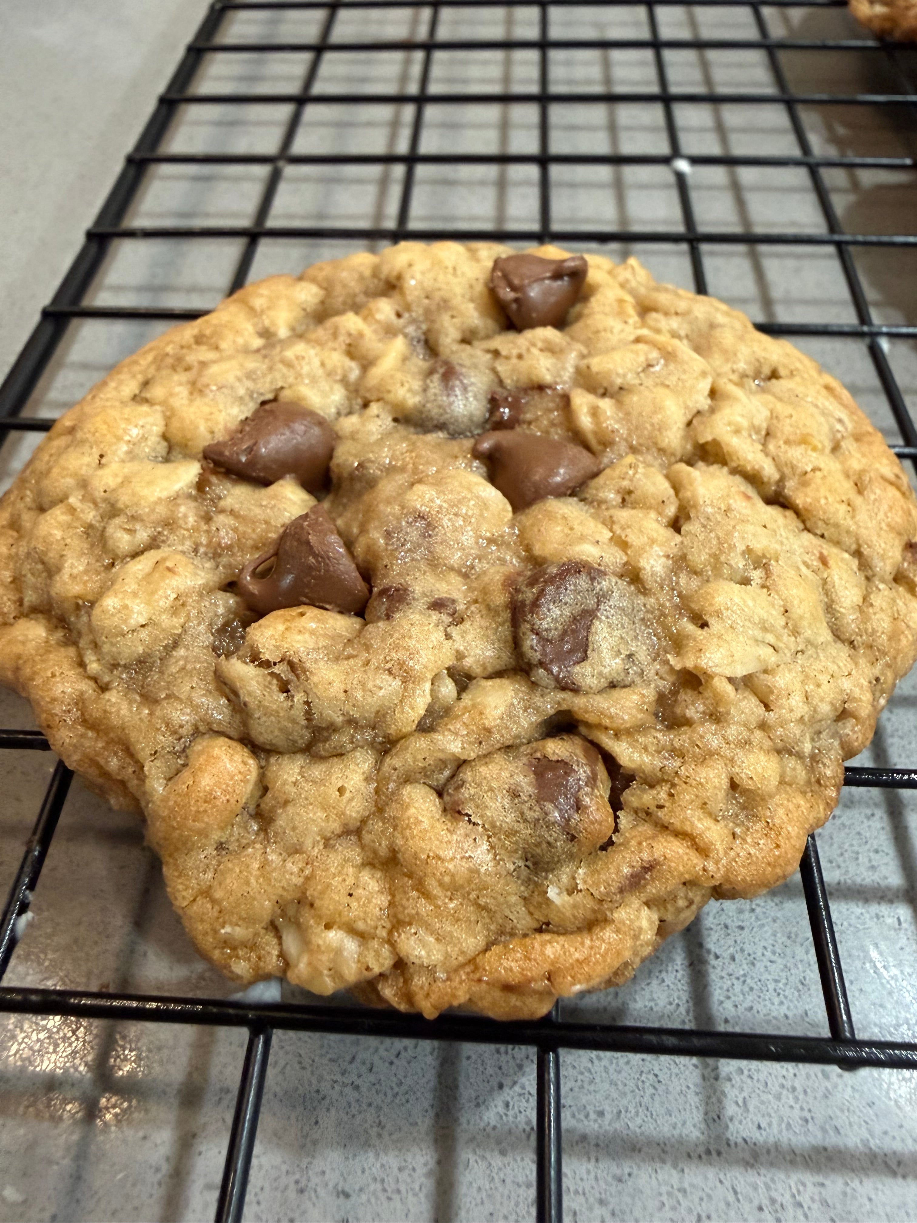 Oat chocolate Chip affair