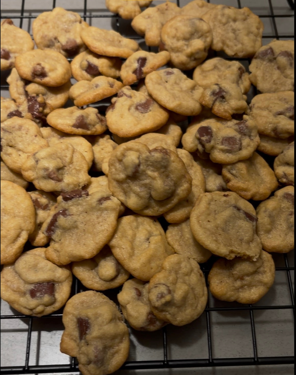 Mini chocolate chip daddy