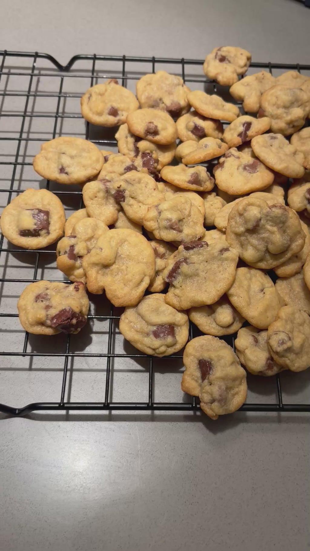 Mini chocolate chip daddy