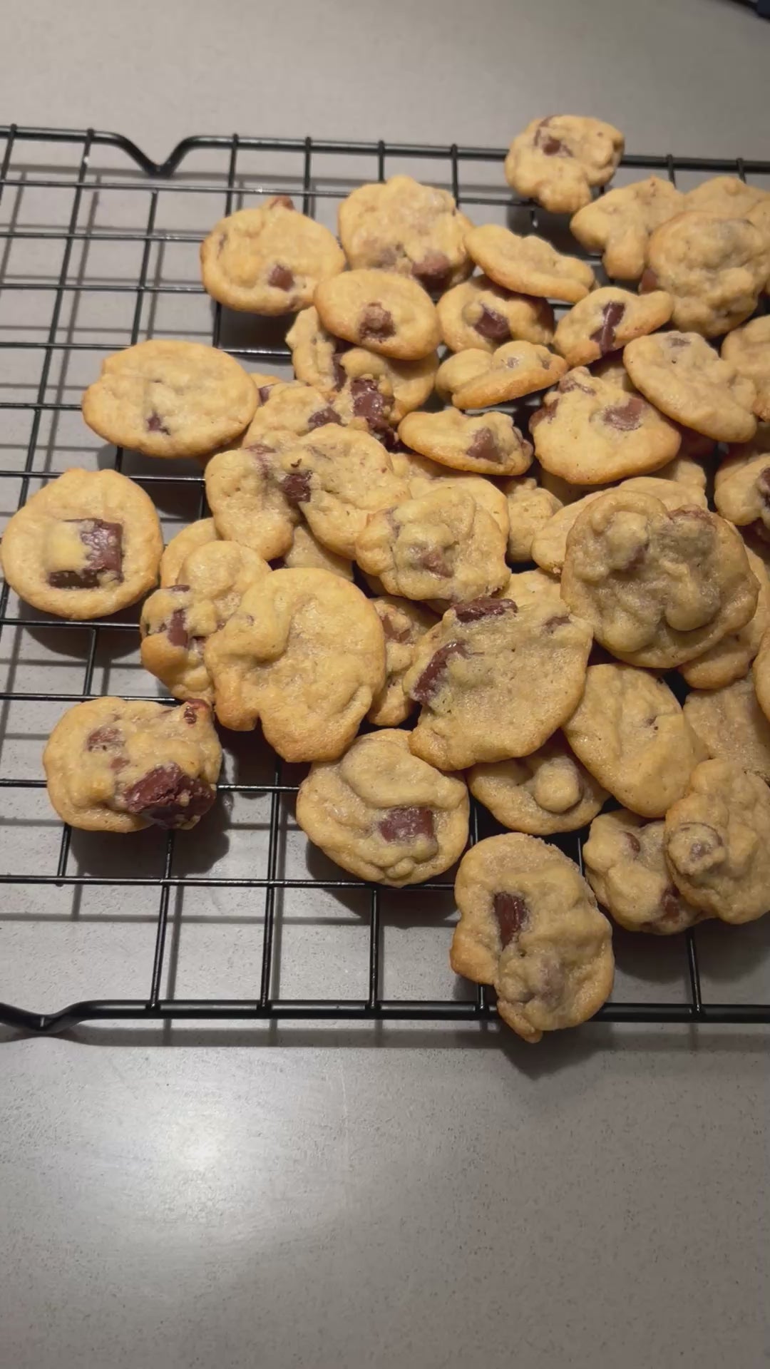 Mini chocolate chip daddy