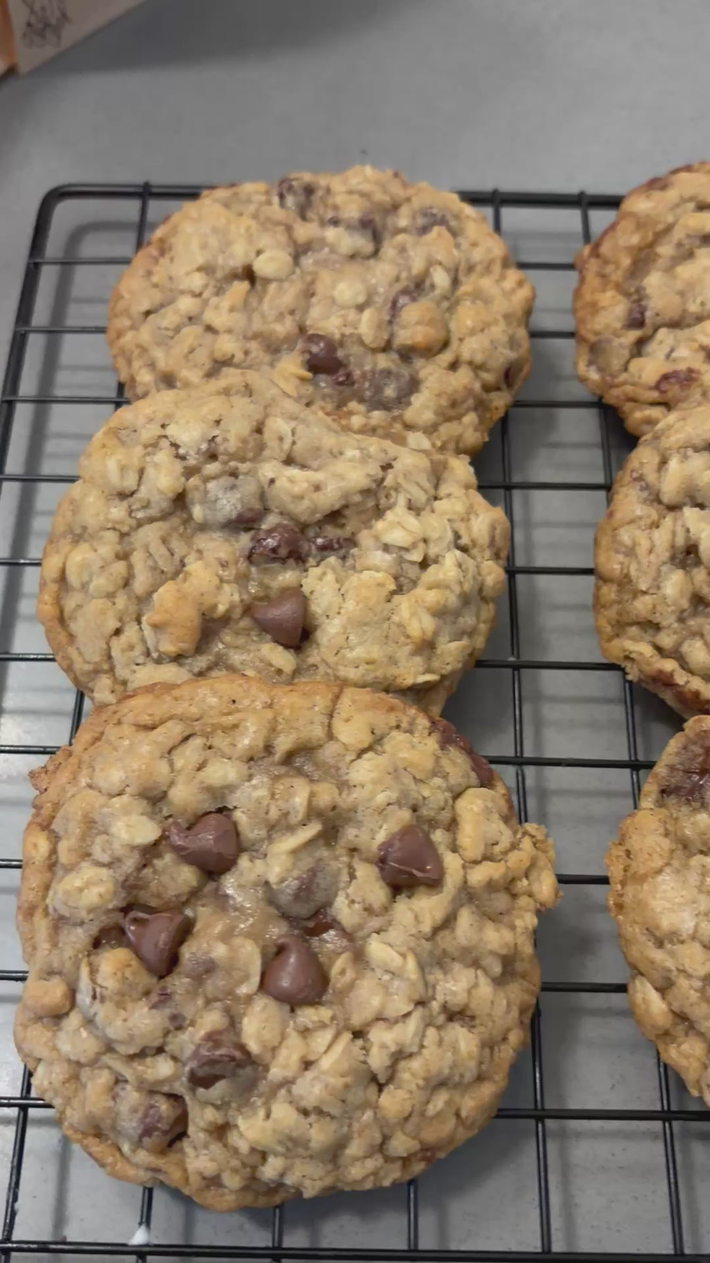 Oat chocolate Chip affair